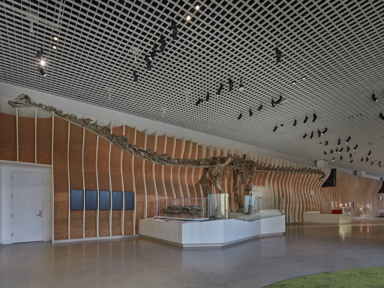 Best Time for Free Views: Griffith Observatory & Getty LA Guide